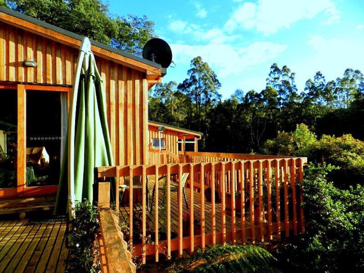 Cradle Alpine Retreat Bed and Breakfast Moina Exteriör bild