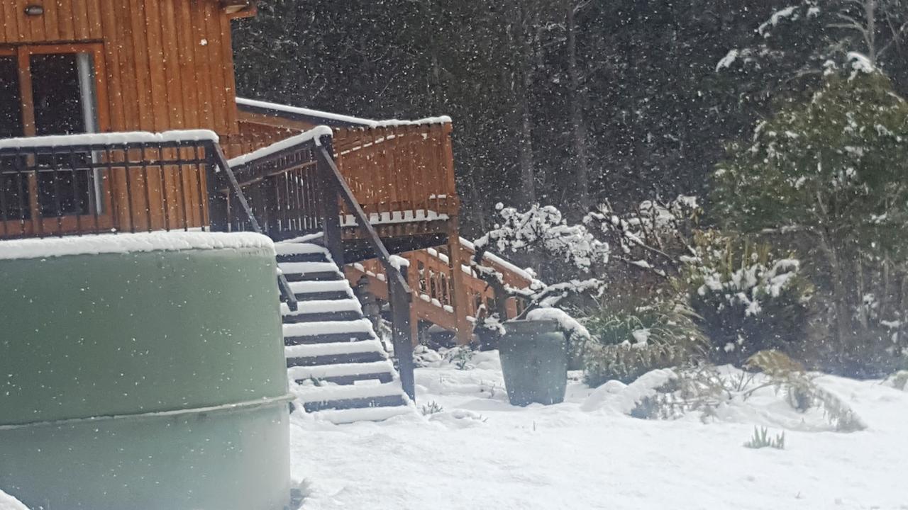 Cradle Alpine Retreat Bed and Breakfast Moina Exteriör bild