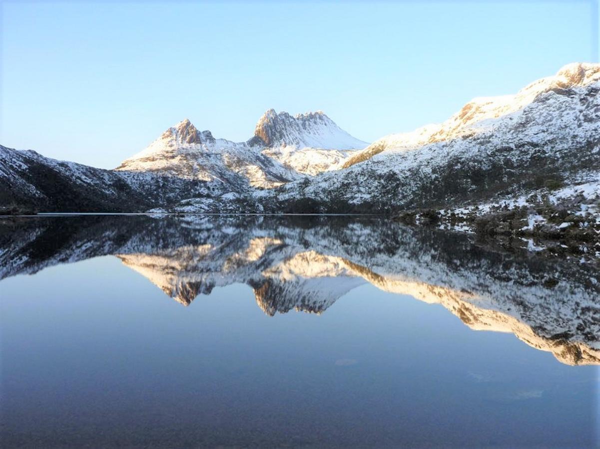 Cradle Alpine Retreat Bed and Breakfast Moina Exteriör bild